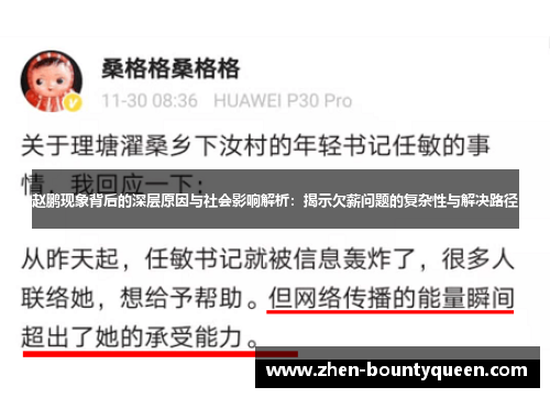 赵鹏现象背后的深层原因与社会影响解析：揭示欠薪问题的复杂性与解决路径